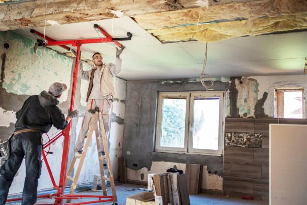 Best Cellulose Insulation in Lorenzo, TX
